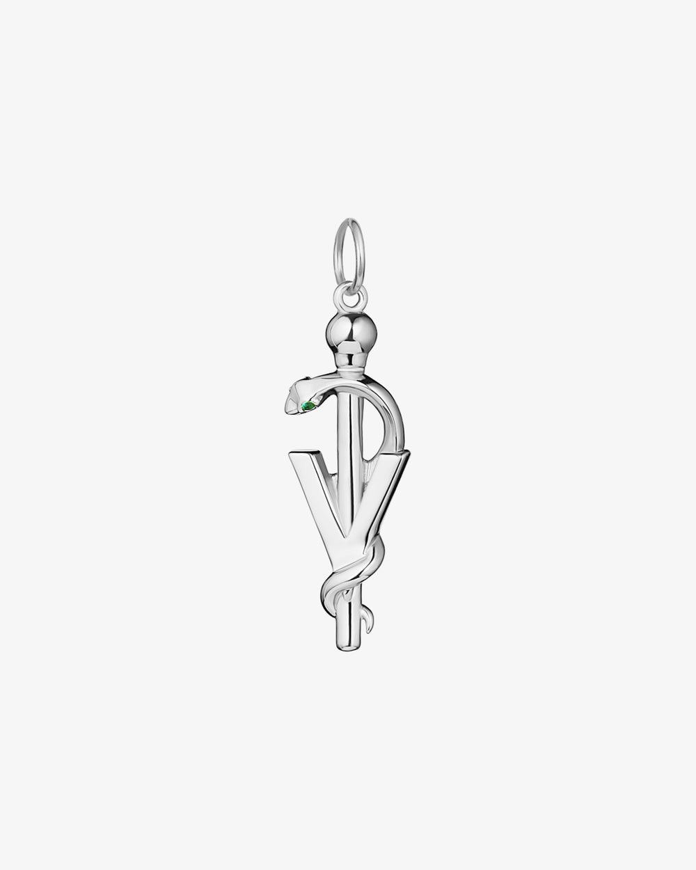 Modern Veterinary Medicine Rod of Asclepius Pendant Charm